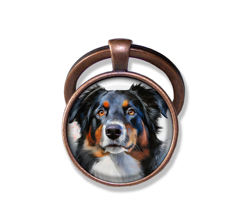 Australian Shepherd