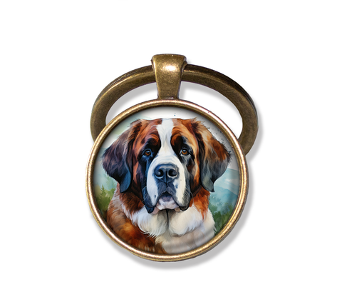 Friendly Saint Bernard