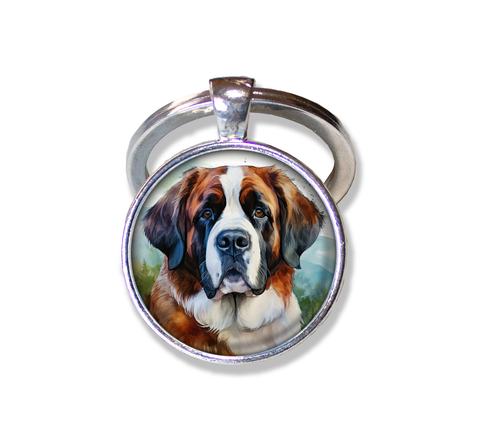 Friendly Saint Bernard
