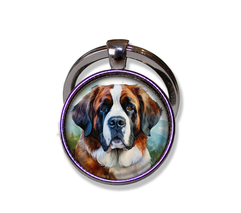 Friendly Saint Bernard