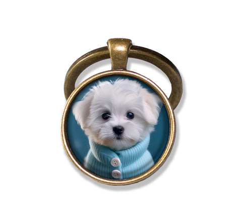 Adorable Maltese Puppy