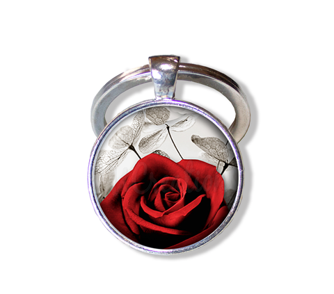 Red Rose and Money Plant