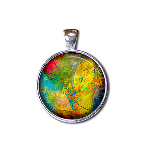 Foliage in Colorful Autumn