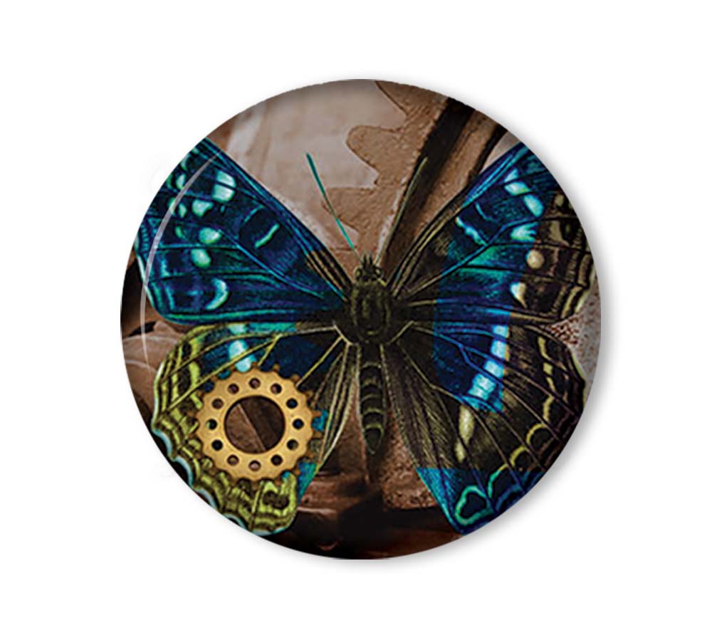 Steam-punk Butterfly