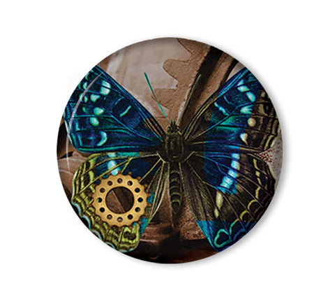 Steam-punk Butterfly
