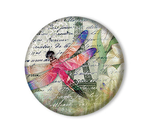 Dragonfly Eiffel Tower