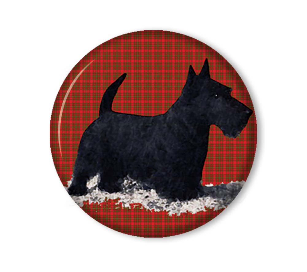 Scottish Terrier