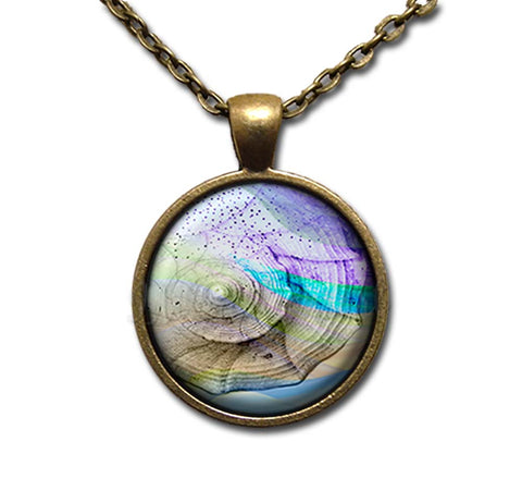 Pretty Ocean Seashell