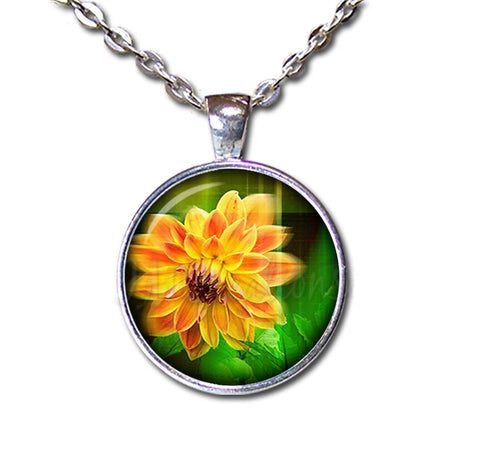 Bright Yellow Dhalia Flower