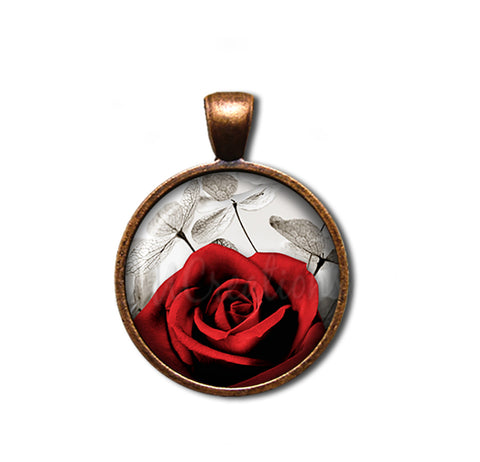 Red Rose and Money Plant