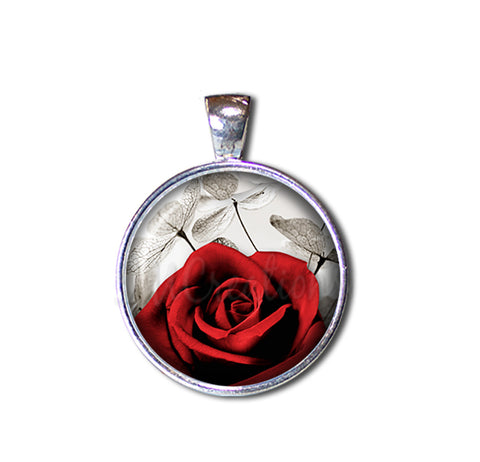 Red Rose and Money Plant