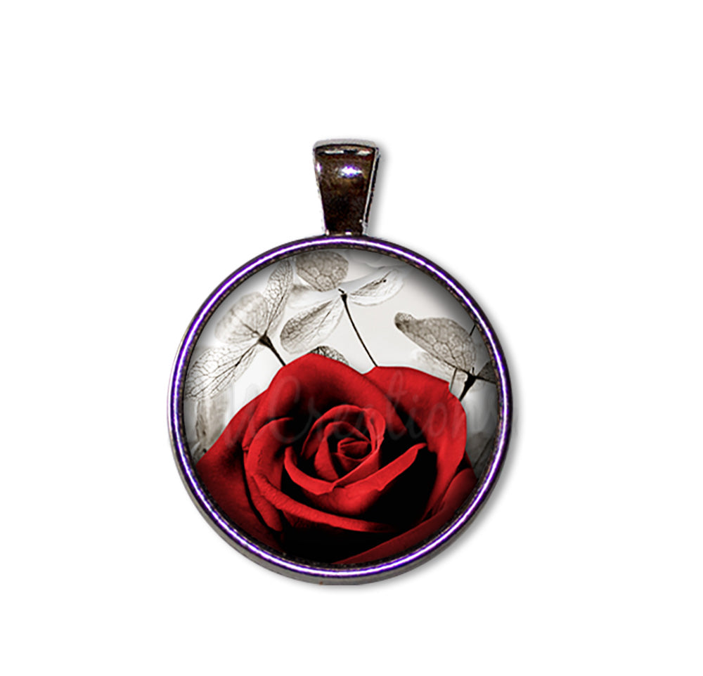 Red Rose and Money Plant