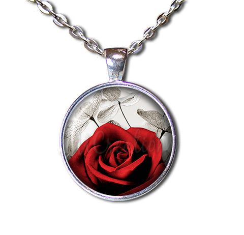 Red Rose and Money Plant