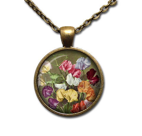 Sweet Pea Vintage Lathyrus Odoratus Flower