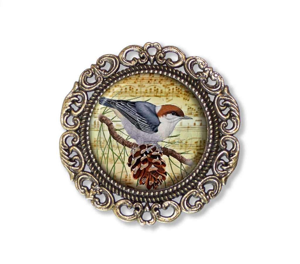 Sparrow with Pine Cone