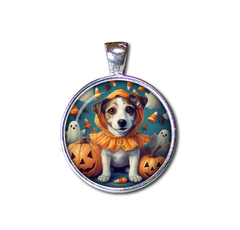 Halloween Jack Russell in Costume