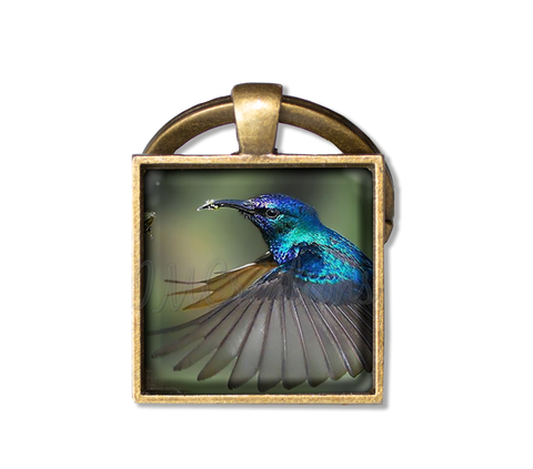 Lovely Blue Flying Hummingbird