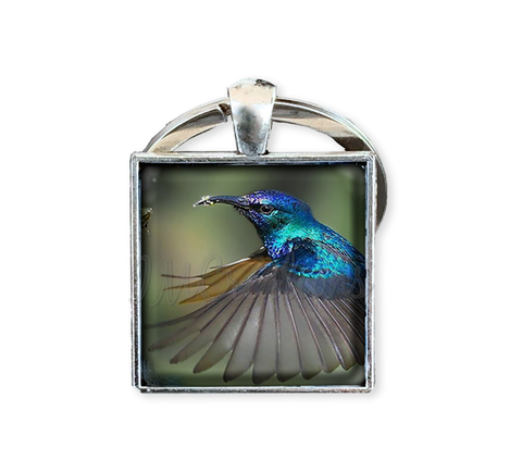 Lovely Blue Flying Hummingbird