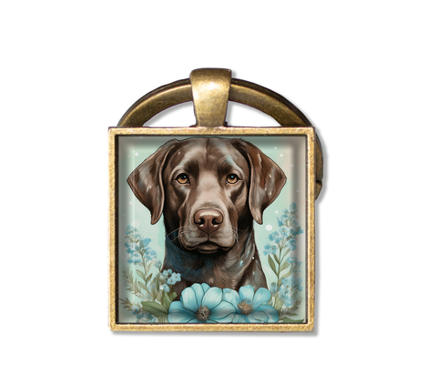 Adorable Chocolate Lab