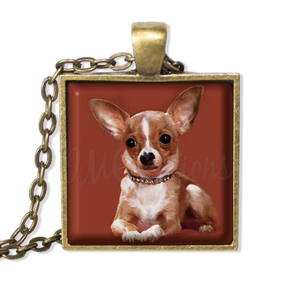 Sweet Chihuahua Doggie