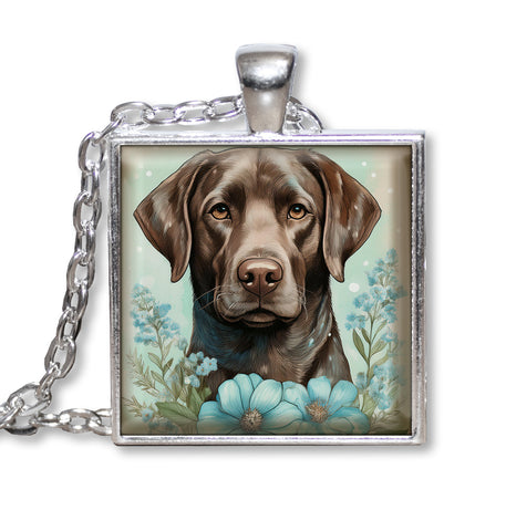 Adorable Chocolate Lab