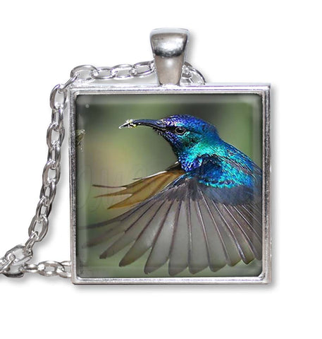 Lovely Blue Flying Hummingbird