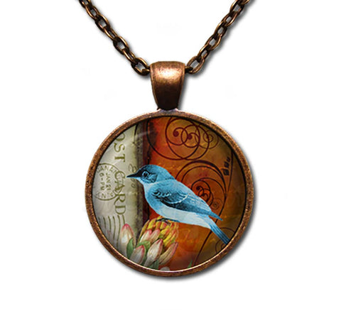 Stunning Bluejay Bird