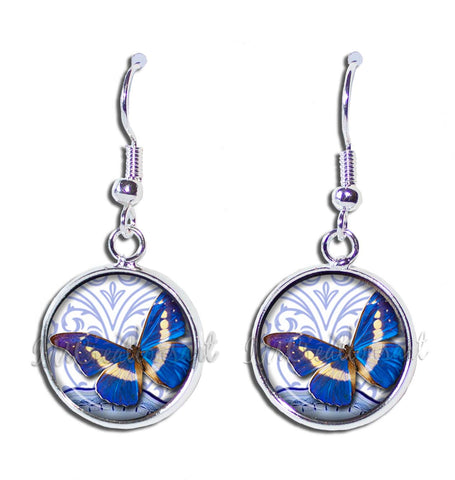 Royal Blue Butterfly