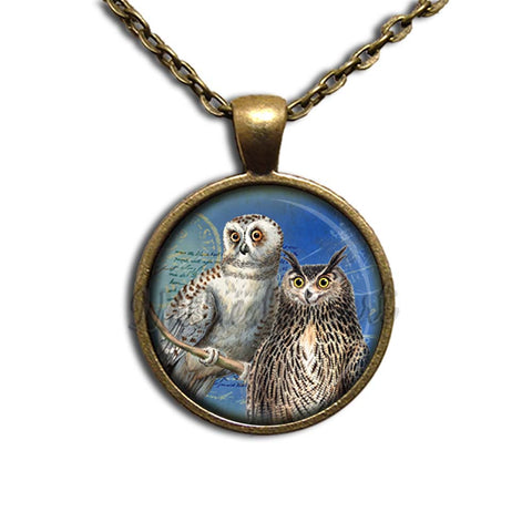 Couple of Owls Perched