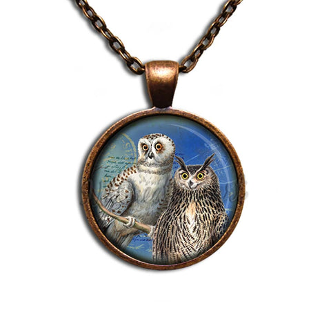 Couple of Owls Perched