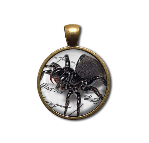 Creepy Crawler Spider