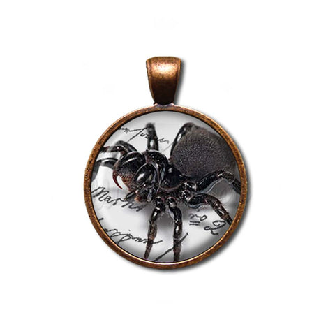 Creepy Crawler Spider