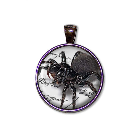 Creepy Crawler Spider