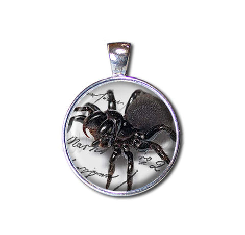 Creepy Crawler Spider