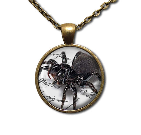 Creepy Crawler Spider