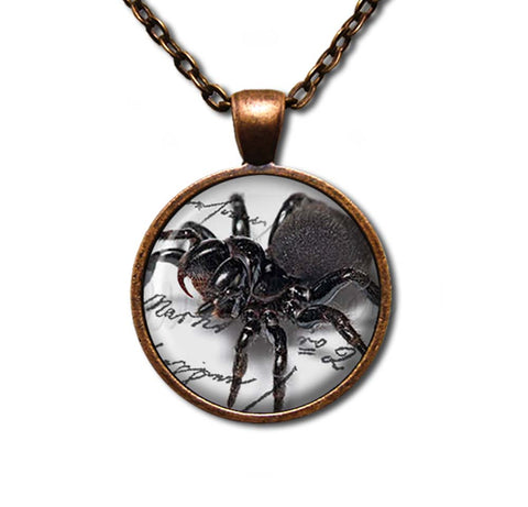 Creepy Crawler Spider