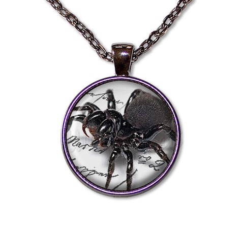 Creepy Crawler Spider