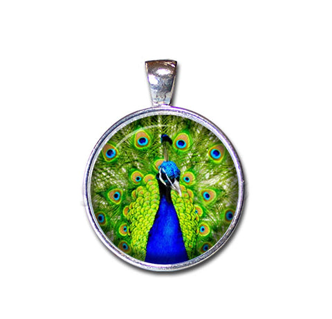 Peacock Feather in Blues and Greens