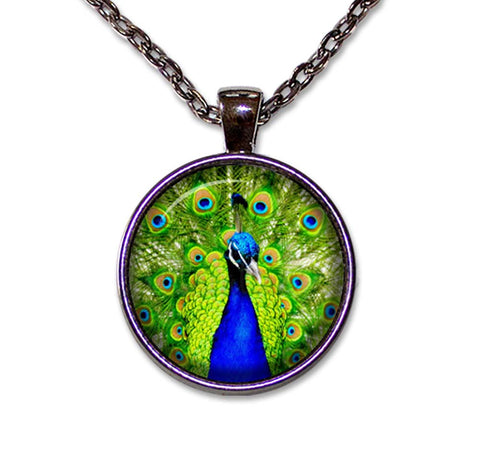 Peacock Feather in Blues and Greens