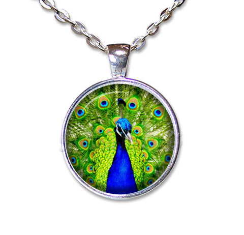 Peacock Feather in Blues and Greens