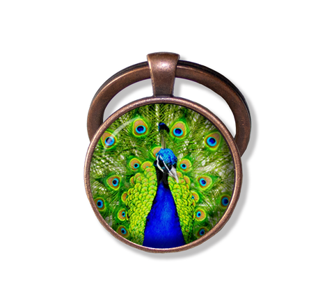 Peacock Feather in Blues and Greens