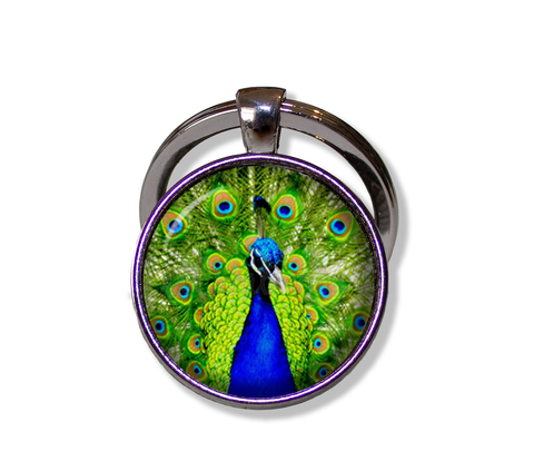 Peacock Feather in Blues and Greens