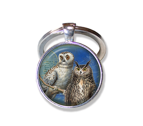 Couple of Owls Perched