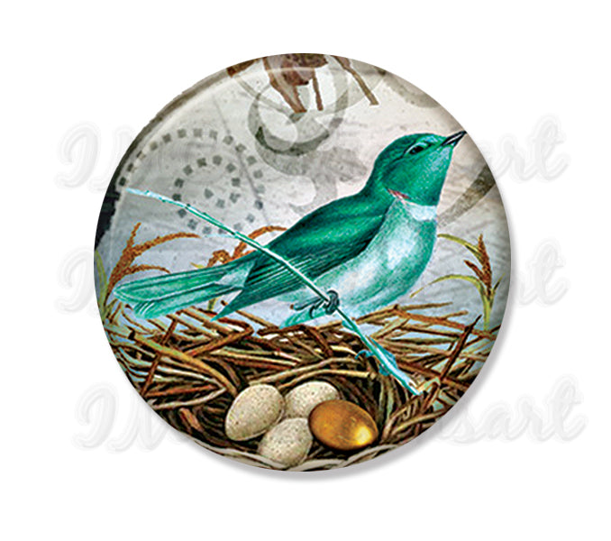 Sparrow and Golden Egg