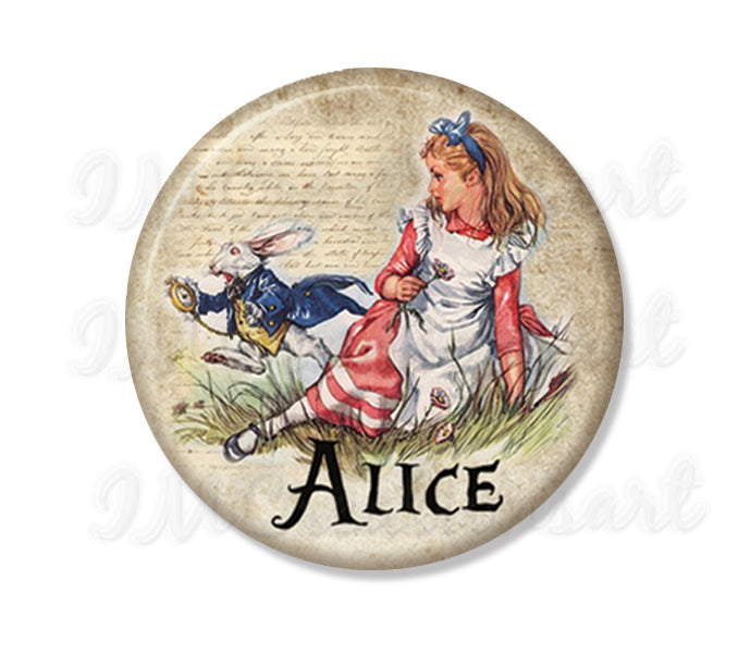 Alice and Rabbit