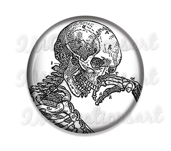 Thinking Skeleton Anatomy