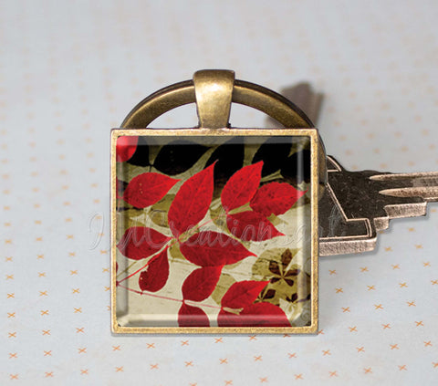 Stunning Autumn Foliage