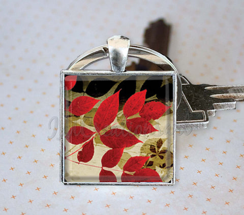 Stunning Autumn Foliage